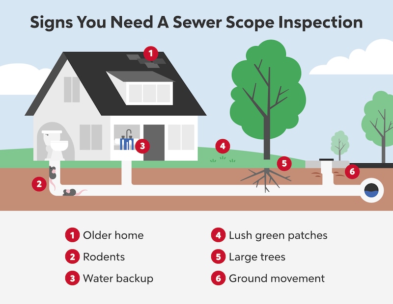 What Is A Sewer Scope Inspection? | Rocket Mortgage